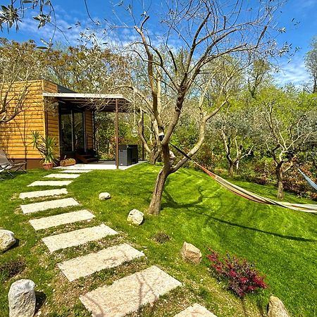 Seregner Agricamping & Homes - Adults Only 18 มอนซามบาโน ภายนอก รูปภาพ